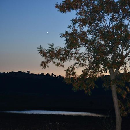 Agriturismo Podere Micitto Usi ห้อง รูปภาพ
