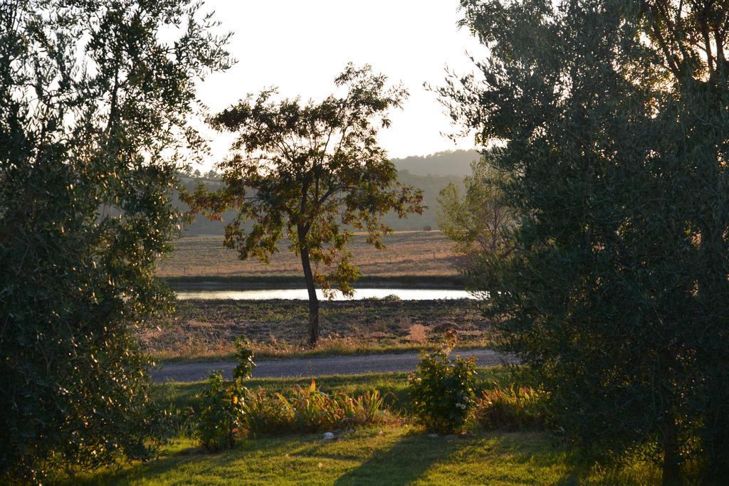 Agriturismo Podere Micitto Usi ห้อง รูปภาพ