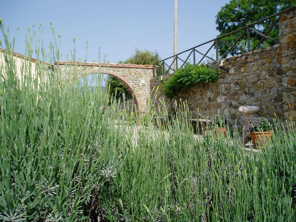 Agriturismo Podere Micitto Usi ภายนอก รูปภาพ