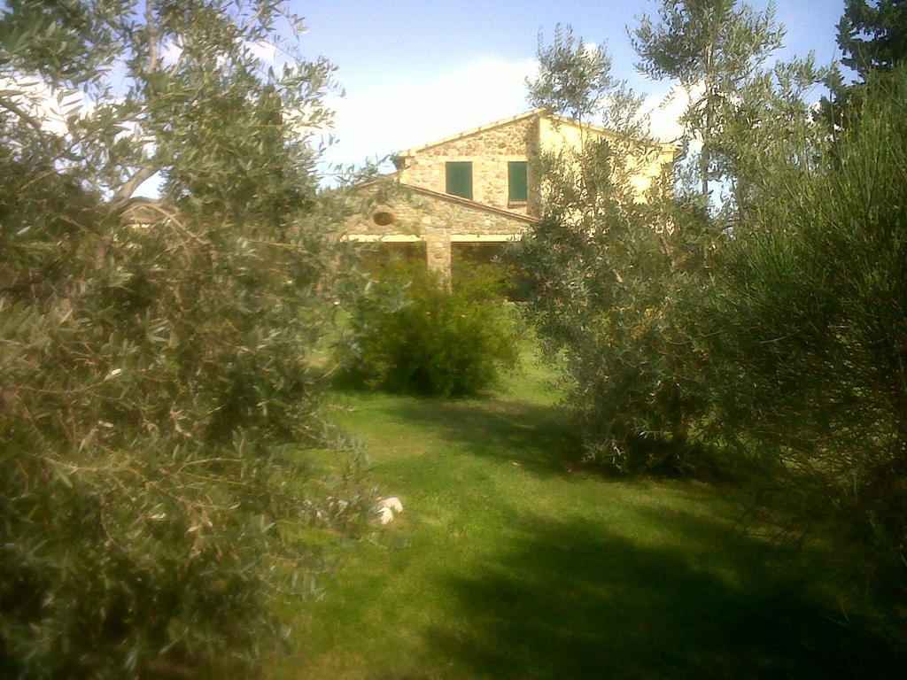 Agriturismo Podere Micitto Usi ภายนอก รูปภาพ
