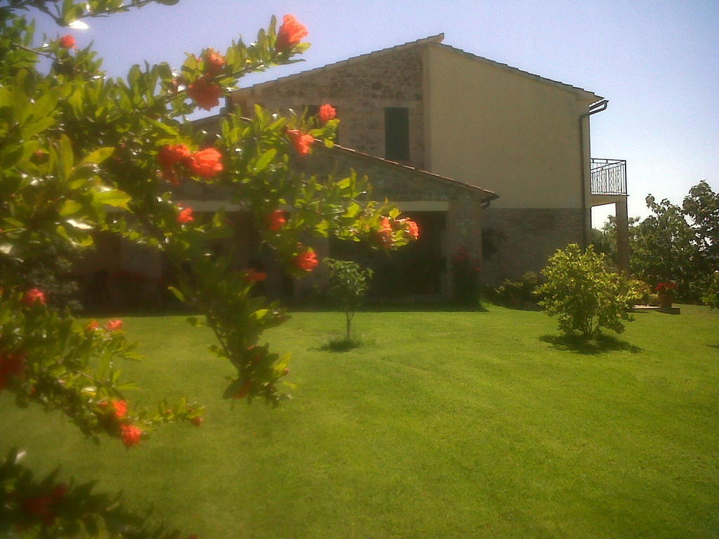 Agriturismo Podere Micitto Usi ภายนอก รูปภาพ
