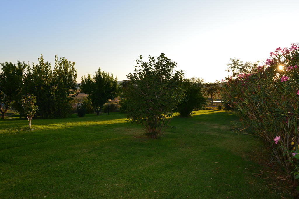 Agriturismo Podere Micitto Usi ภายนอก รูปภาพ