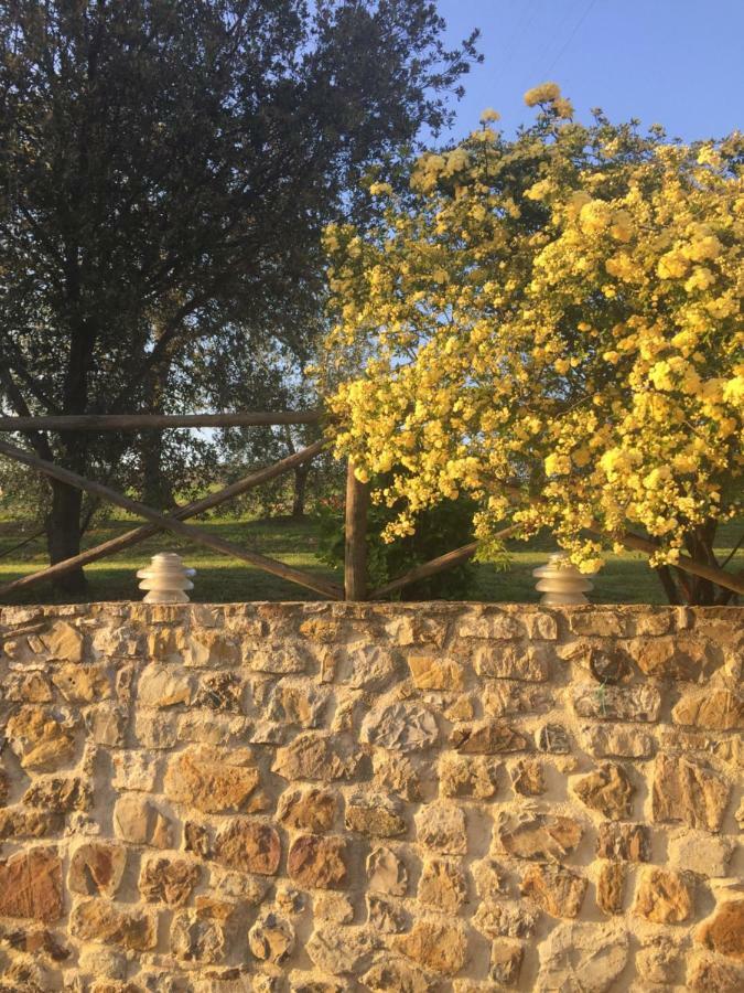 Agriturismo Podere Micitto Usi ภายนอก รูปภาพ