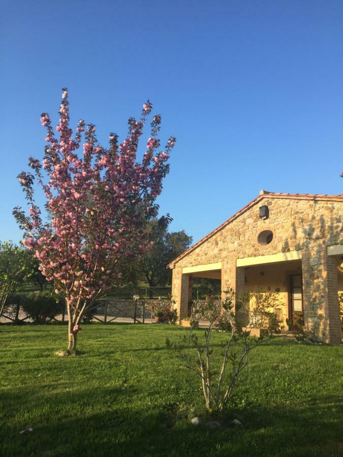 Agriturismo Podere Micitto Usi ภายนอก รูปภาพ